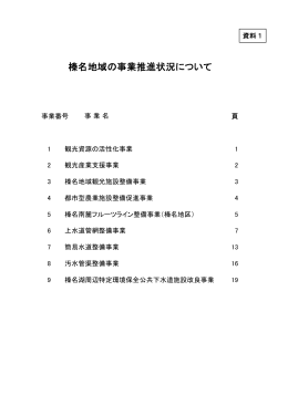 榛名地域の事業推進状況について（資料1）（PDF形式 5.1MB）