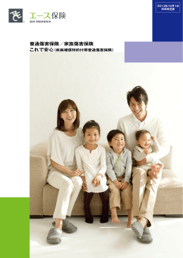 パンフレット - ACE Group