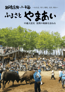 ダウンロードはここをクリックしてください（PDF形式 4099