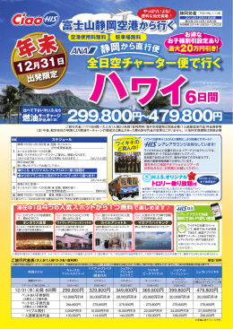 全日空チャーター便で行く