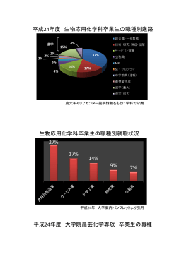 平成24年度 生物応用化学科卒業生の職種別進路 平成24年度 大学院