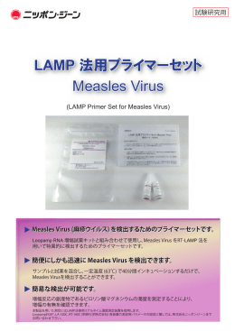 LAMP法用プライマーセット Measles Virus パンフレット