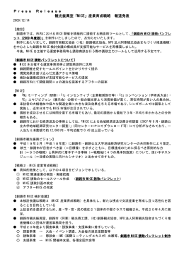 09/12/14 MICEパンフレット2009制作