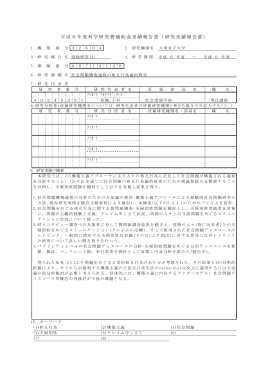 平成6年度科学研究費補助金実績報告書（研究実績