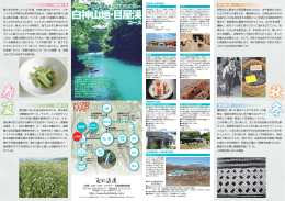 鷹ノ巣自然歩道コースパンフレット