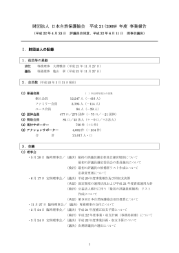 2009（平成21）年度 財団法人の記録（PDF）