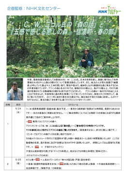 パンフレット - 日放ツーリスト