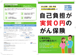 商品パンフレット - SBI損害保険