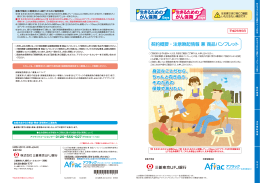 契約概要・注意喚起情報 兼 商品パンフレット