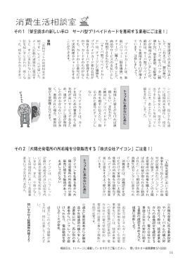 2月号 架空請求の新しい手口 サーバ型プリペイドカードを悪用する業者に