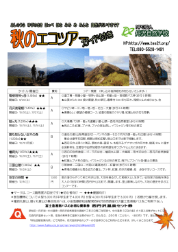 チラシをダウンロードすることができます。