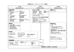 宮城県のメンタルヘルスケア施策 [PDFファイル／53KB]