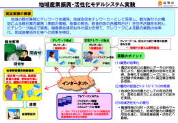 地域産業振興・活性化モデルシステム実験