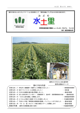 第43号（2009年6月）（PDF：416KB）