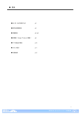 2007年度年次報告書