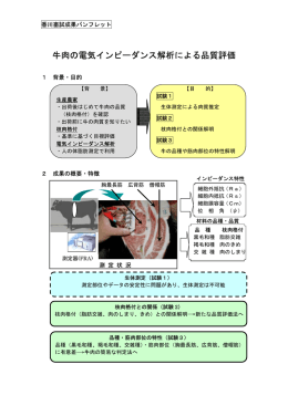 PDF（新規ウインドウ）