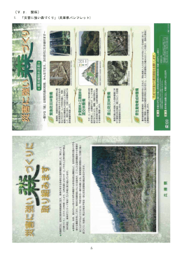 5 〔Ⅴ.2. 関係〕 1. 「災害に強い森づくり」(兵庫県パンフレット)