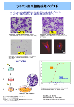 カタログ ダウンロード - コラジェン・ファーマ株式会社