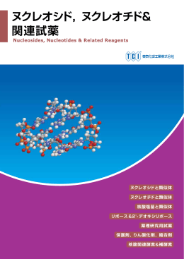 ヌクレオチド&関連試薬