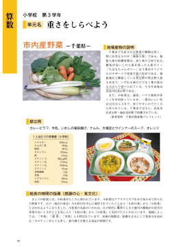 市内産野菜 −千葉県− 算数 重さをしらべよう