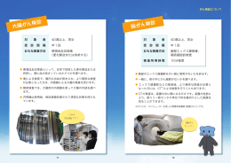 「HyoGo！がん検診！！～大切な人を守るために～」P11-P23