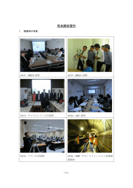 現地調査資料（PDF：3.0MB）