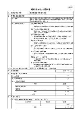 補助金等支出明細書