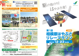 相模原はやぶさ リレーマラソン 秋の