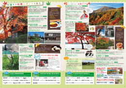 中通りの紅葉スポットを巡る (P4-5)