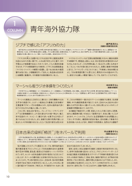 1. 青年海外協力隊（PDF）