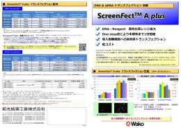 ScreenFect&trade; A plus