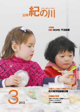 平成25年3月号(PDF 4743KB)