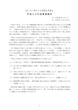 平成20年度（PDF）