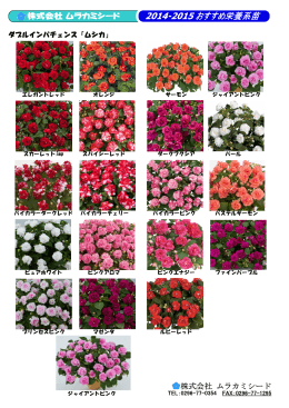 株式会社 ムラカミシード