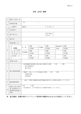 団体（会社）概要 ※ 設立趣旨、事業内容のパンフレット等団体の概要が