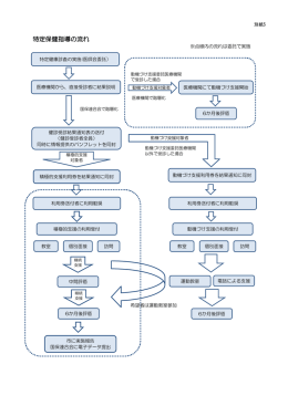 別紙5 「特定保健指導の流れ」