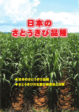 日本のさとうきび品種 さとうきびの主要な病害虫と対策