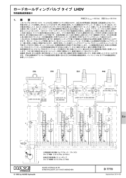 ロードホールディングバルブ タイプ LHDV: D 7770