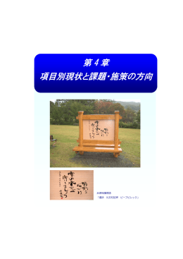(第4章・現状と課題及び施策の方向) (PDF:2265KB)
