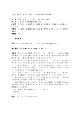 第3回文化財保護審議会議事録（PDF：359KB）