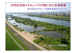 パワーポイント資料 [PDFファイル／588KB]