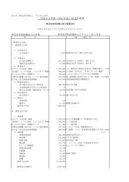 2011年度財務報告書（PDFファイル 163KB）