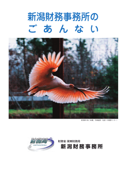 パンフレット（PDF形式：685KB） - 関東財務局
