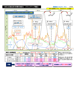 皮膚血流の解析グラフ - エイエムアイ・テクノ