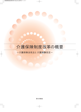 介護保険制度改革の概要 - 医療法人社団啓愛会 介護老人保健施設