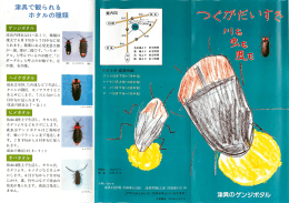 つぐが大好き川も虫も風も－パンフレット