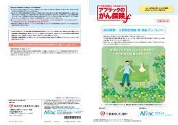 契約概要・注意喚起情報 兼 商品パンフレット