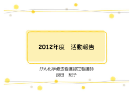 2012年度 活動報告