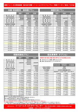 補償充実プラン 治療・救援費用 無制限プラン 保険料節約プラン 駐在員
