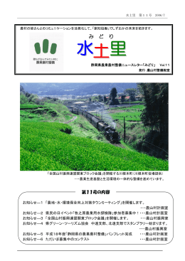 第11号（2006年7月）（PDF：516KB）